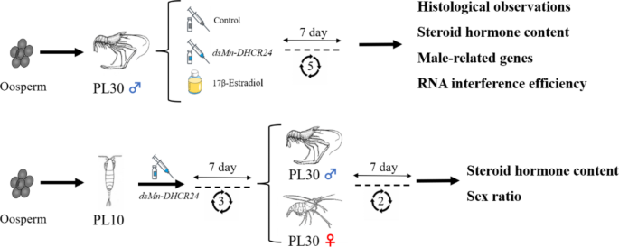 figure 12