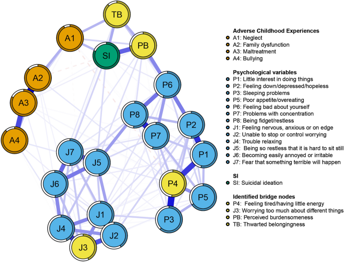 Exploring the role of bridging nodes linking adverse childhood 