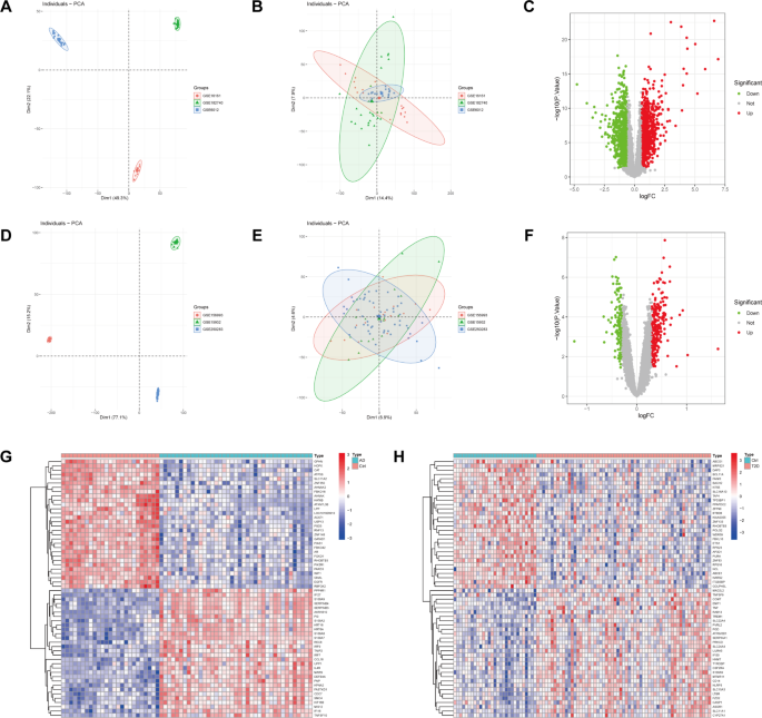 Potential shared mechanisms in atopic dermatitis and type 2 diabetes identified via transcriptomic and machine learning approaches Potential shared mechanisms in atopic dermatitis and type 2 diabetes identified via transcriptomic and machine learning approaches