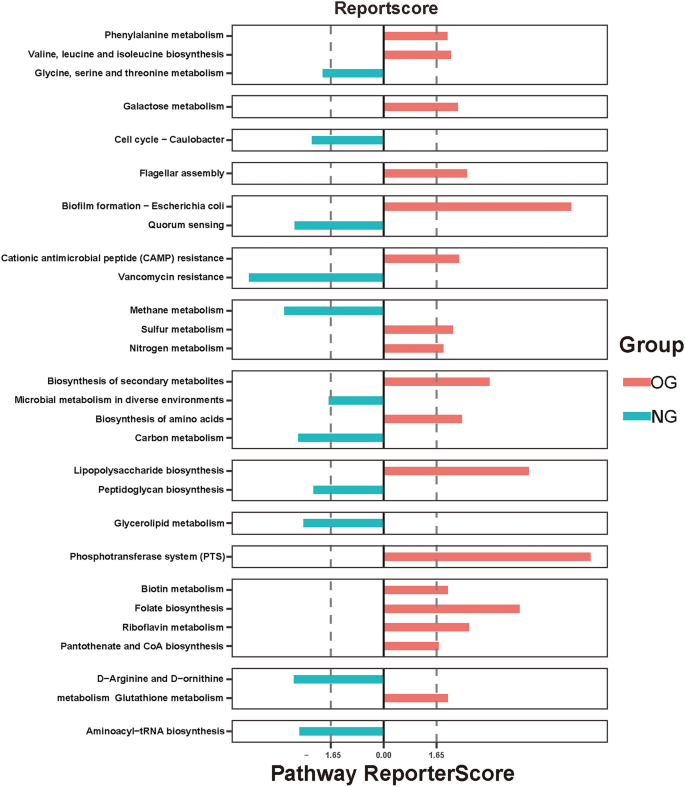 glutathione peptide cycle Association between gut microbiota and short-chain fatty acids in children with obesity tired Size:250ml Blueberry Flavour Immunocal Clinically Tested Cysteine-Bonded