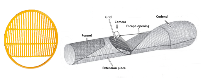 Fig. 1