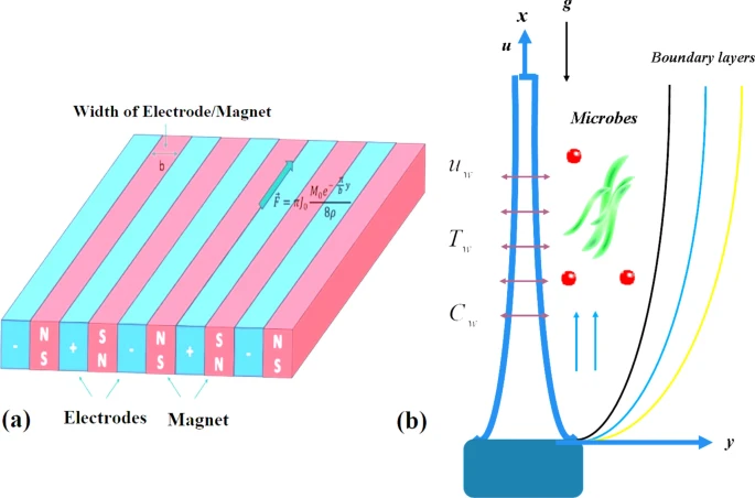 Novel numerical and artificial neural computing with experimental validation towards unsteady micropolar nanofluid flow across a Riga plate Novel numerical and artificial neural computing with experimental validation towards unsteady micropolar nanofluid flow across a Riga plate