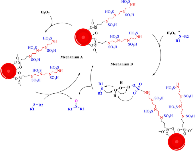 scheme 5