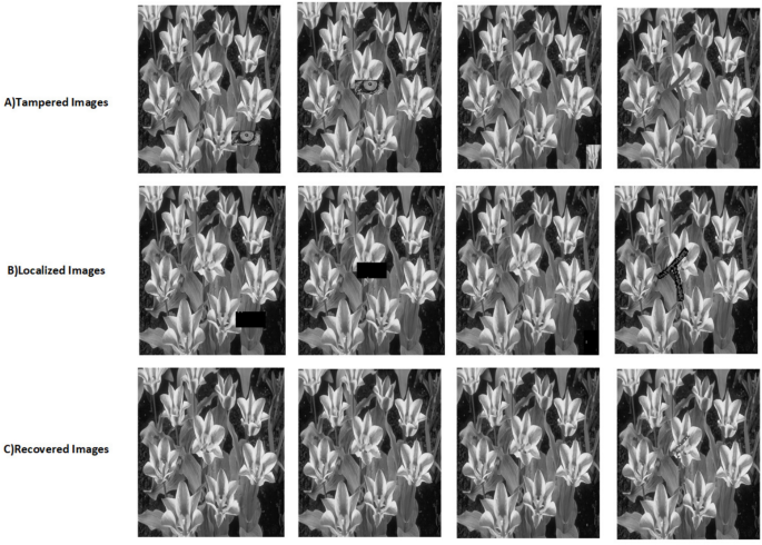 figure 17