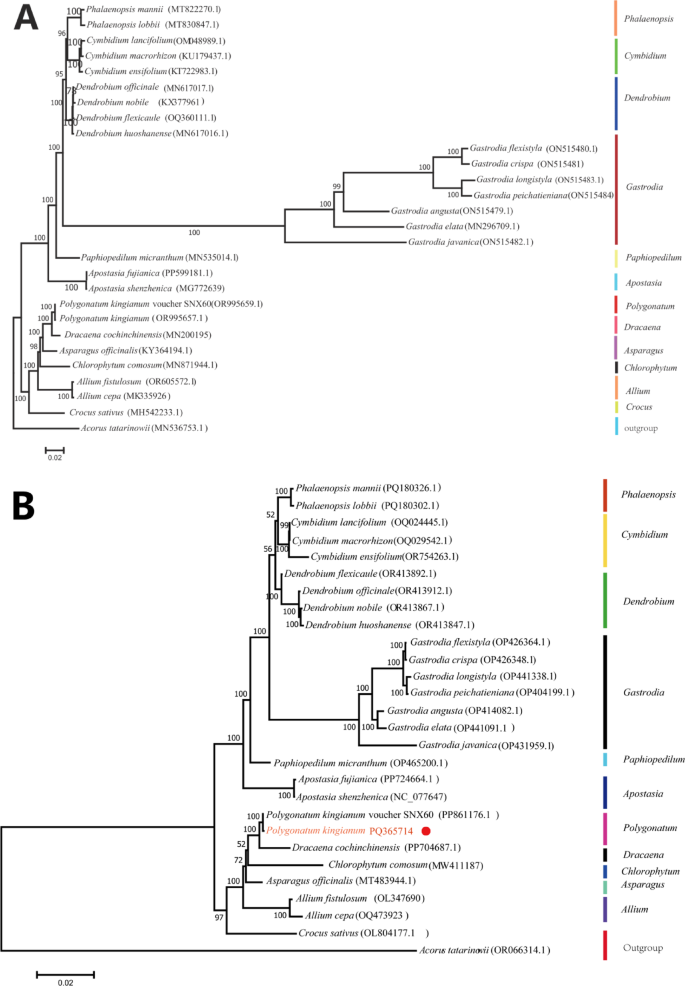 figure 17