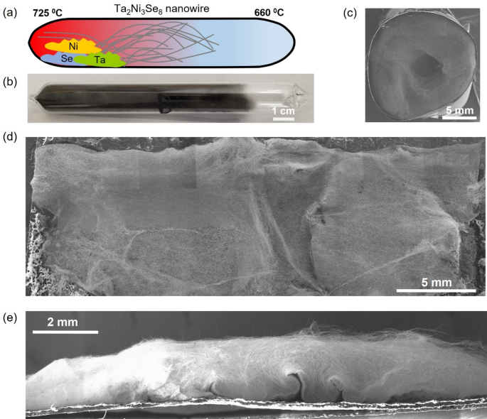 Scalable synthesis of millimeter-long single crystal Ta2Ni3Se8 Van der ...