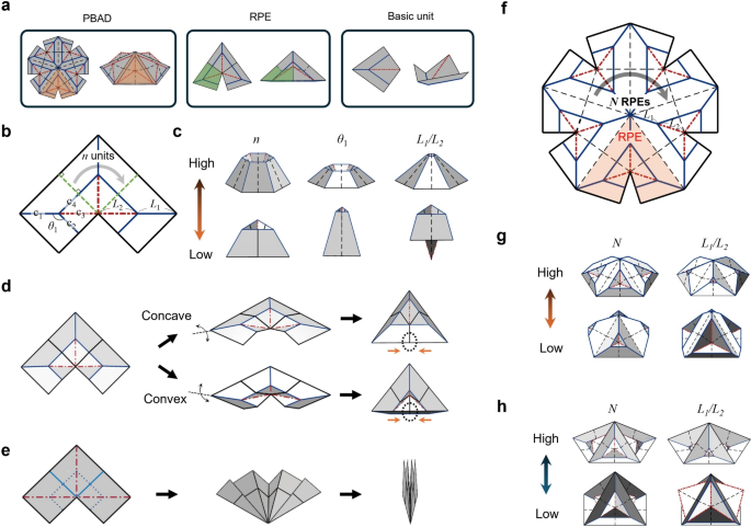 Construction of metre-scale foldable space shelter based on gravity-driven self-assembling origami | Scientific Reports for Free Printable Dl 43 Form