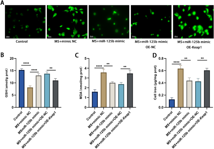 figure 14