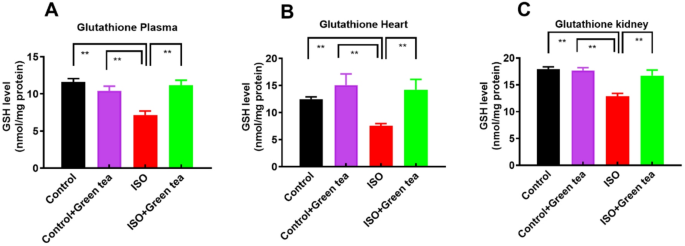 Camellia sinensis powder rich in epicatechin and polyphenols attenuates  isoprenaline induced cardiac injury by activating the Nrf2 HO1 antioxidant  pathway in rats | Scientific Reports