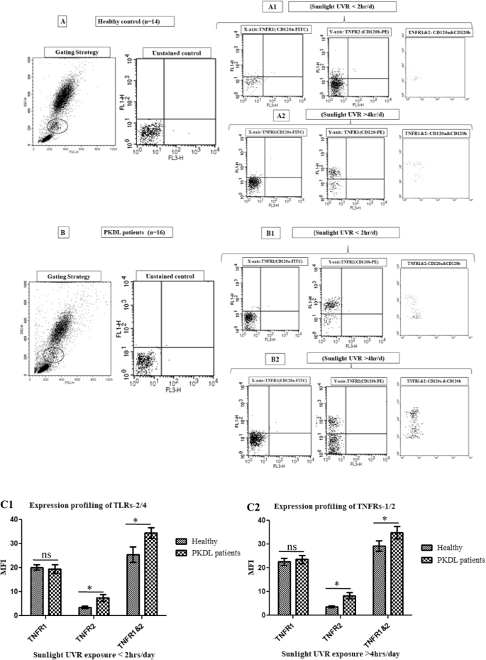 Fig. 11