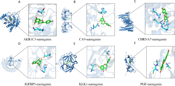 figure 12