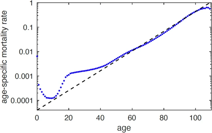 A unifying theory of aging and mortality