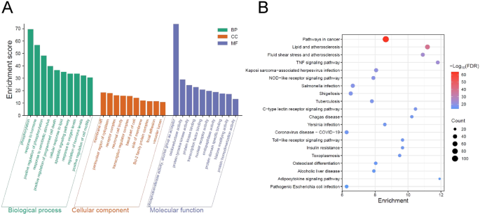 Mechanism exploration of di(2-ethylhexyl) phthalate (DEHP)-induced breast  cancer via network toxicology and molecular docking analysis | Scientific  Reports