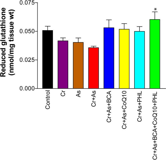 Natural compounds attenuate combined chromium and arsenic-induced oxidative stress and nephritic apoptosis by activating the Nrf2/Keap1 signaling and associated xenobiotic metabolizing enzymes