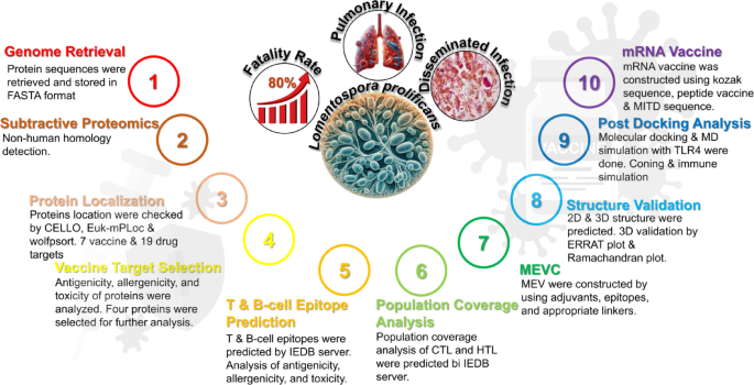 Computational design of an mRNA vaccine targeting antifungal-resistant ...