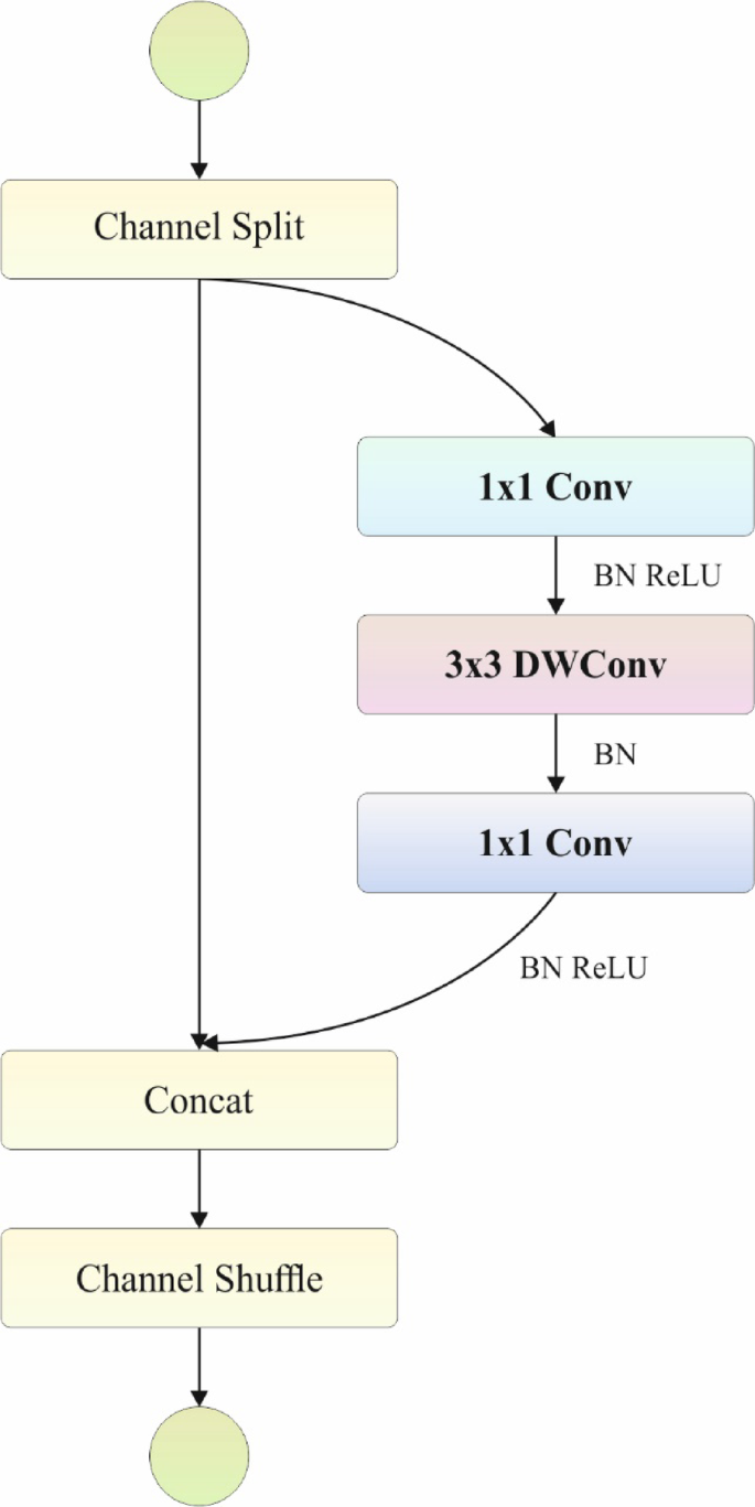 Architecture of ShuffleNetV2