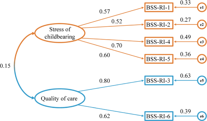Translation and validation of the Birth Satisfaction Scale-Revised ...
