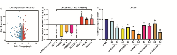 PACT is requisite for prostate cancer cell proliferation – Nature
