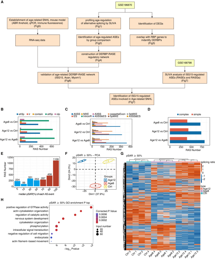 Comprehensive analysis of aberrant alternative splicing and RNA binding ...