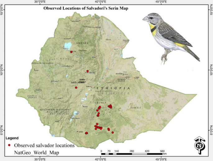 Machine learning predictions of climate change effects on nearly threatened bird species ( Crithagra xantholaema) habitat in Ethiopia for conservation strategies – Nature