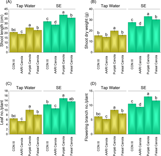 Optimizing canola growth and biochemical attributes using diluted sewage effluent as an alternative irrigation source – Nature