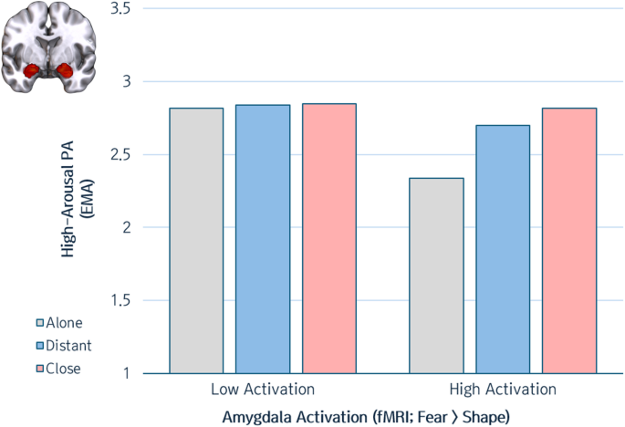 The role of amygdala reactivity in affective fluctuations across social ...