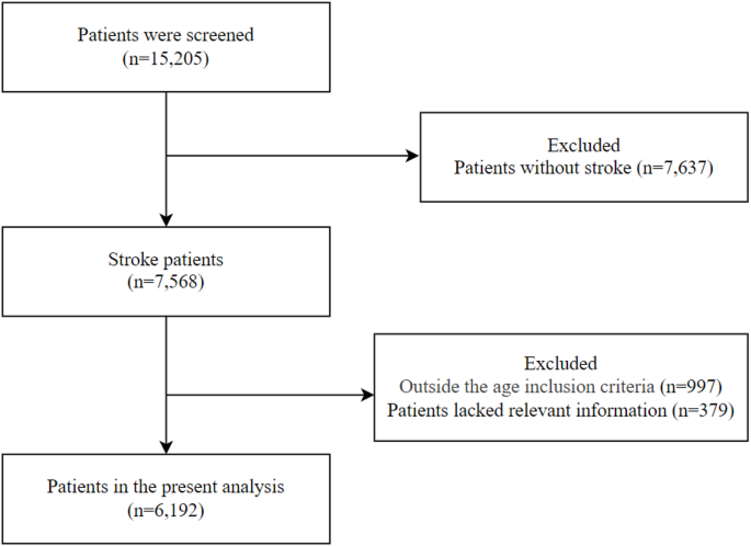 Association between modified Rankin Scale scores and fall risk in post ...