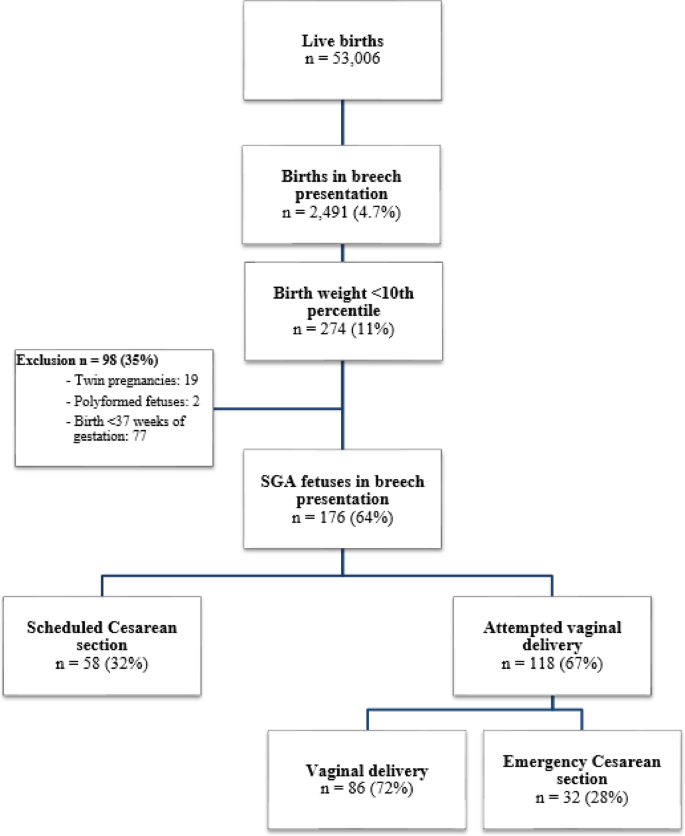 Breech Birth Network Algorithm Comparison of perinatal outcomes in small-for-gestational-age newborns ...
