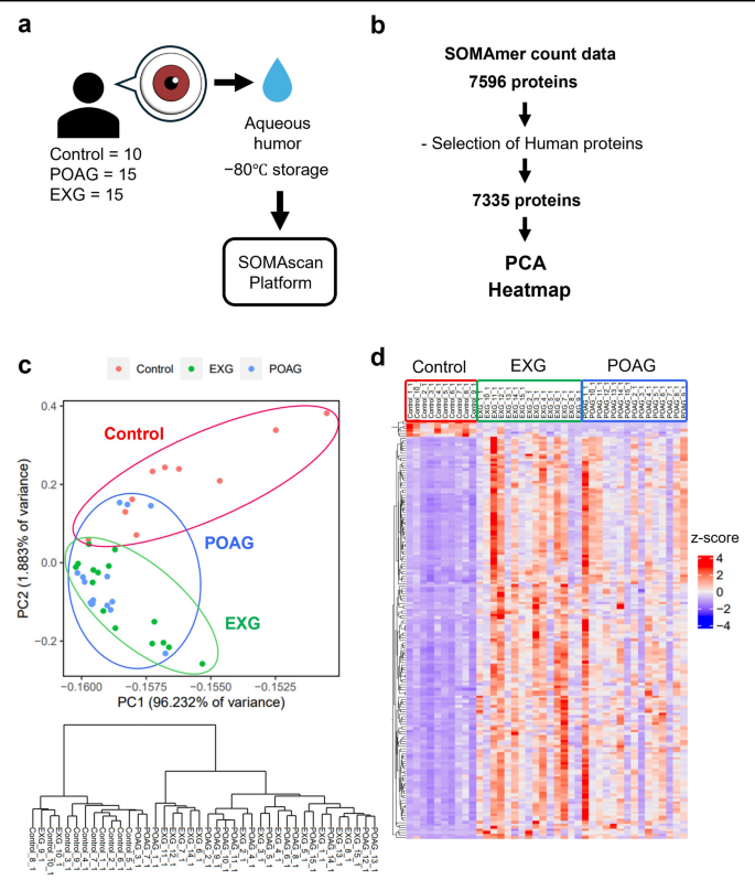 Large-scale proteomic analysis of aqueous humor from patients with ...