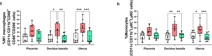 Fig. 3: Gestational HTX alters myeloid cell populations at the maternal-fetal interface