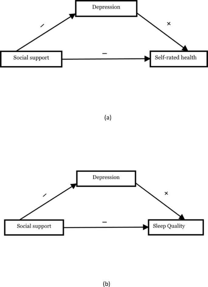 Association of social support with sleep and subjective health outcomes ...
