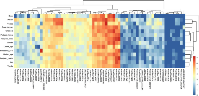 Fig. 6