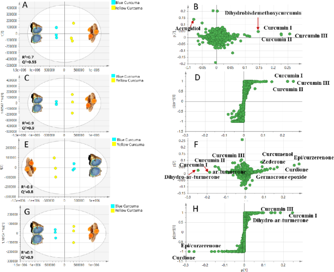 NMR- and MS-based multiplex approach for comparative metabolome profiling  of Curcuma caesia versus curcuma longa rhizomes and in relation to in vitro  biological effects | Scientific Reports