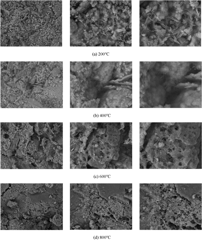 figure 24