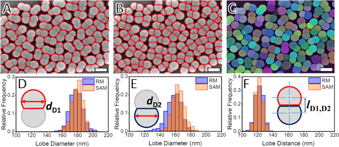 Pre-trained artificial intelligence-aided analysis of nanoparticles using  the segment anything model | Scientific Reports