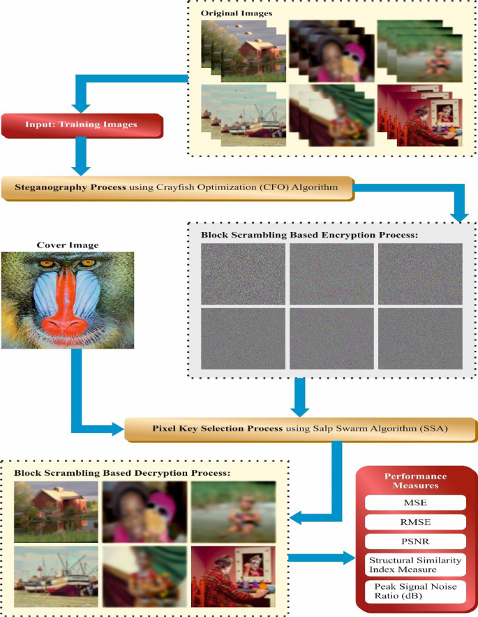 Crayfish optimization based pixel selection using block scrambling 