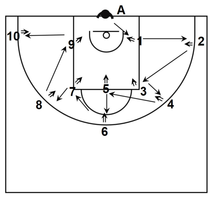Nba Player Layout Examining physical and technical performance among youth basketball ...
