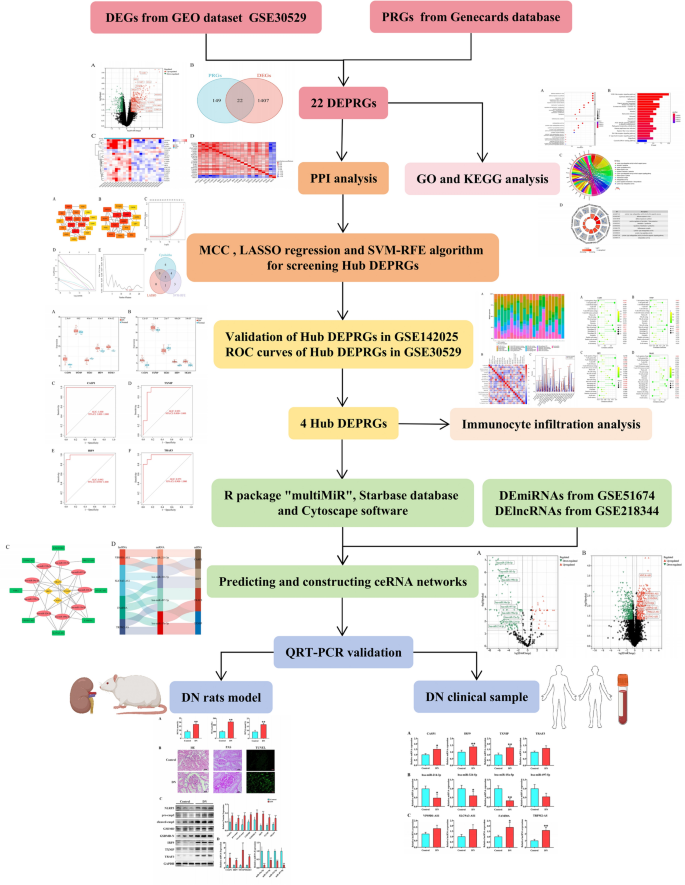 Bioinformatics analysis and validation of novel biomarkers and ...