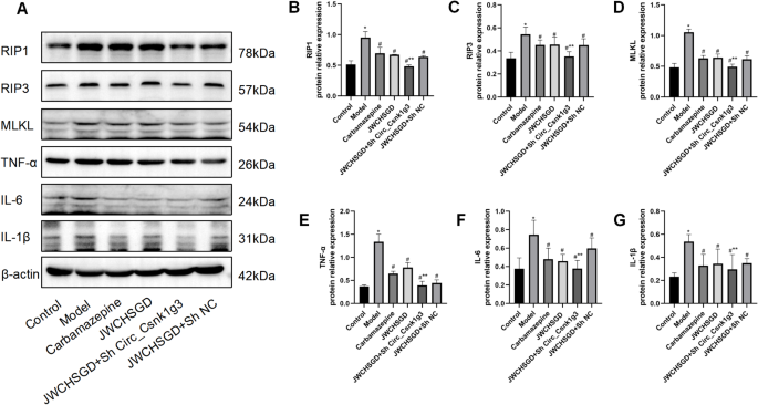 figure 15