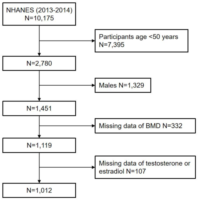 The association between sex hormones and bone mineral density in US ...