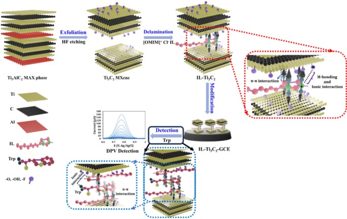 3D porous structure of ionic liquid-delaminated Ti3C2 MXene nanosheets ...