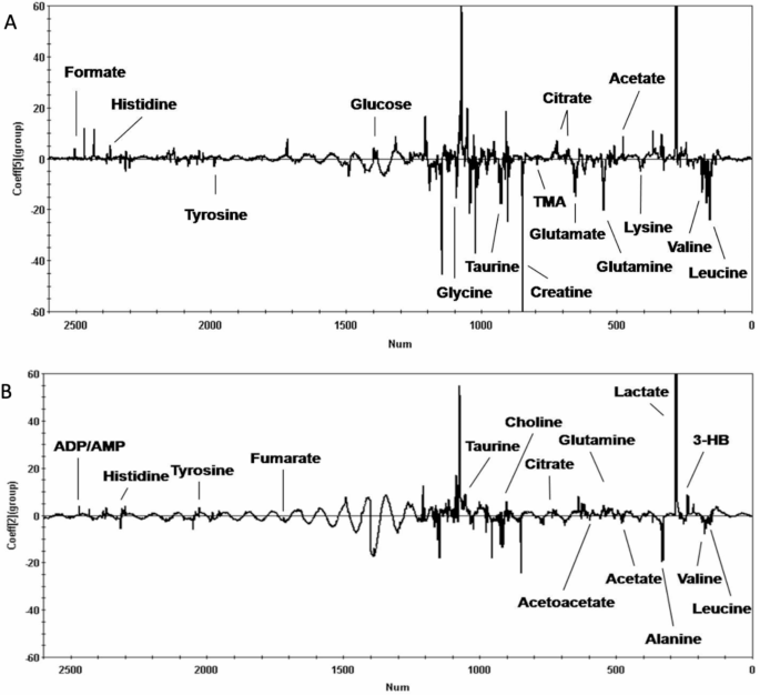 h nmr spectroscopy glutathione turnover in rat brain 1H NMR metabonomic analysis of serum and flap tissue on the effect of  ginsenoside Rb1 on survival of random pattern skin flaps in rats