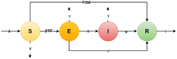 Stability and control analysis of COVID-19 spread in India using SEIR model