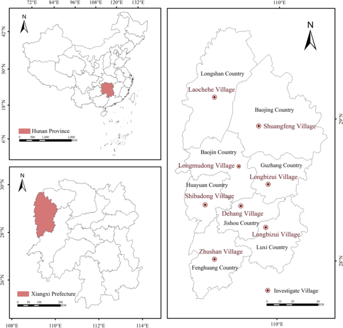 Evolution characteristics and obstacle factors of rural resilience in ...