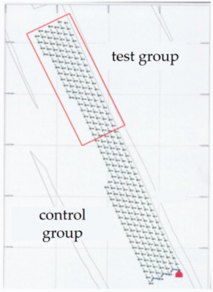 figure 19