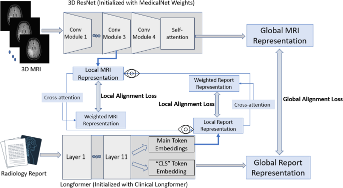 Multimodal contrastive learning for enhanced explainability in ...