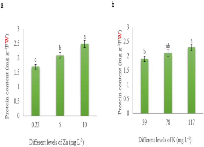 glutathione content spinach mg per 100g Optimum concentrations of potassium and zinc for better performance, nutritional, and biochemical quality of hydroponically cultivated Spinacia oleracea Cv. Virofly GLUTA C Gluta C