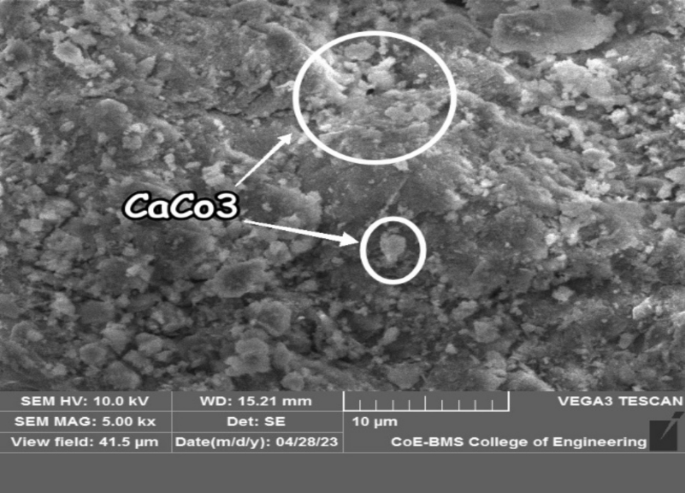 Bacterial self-healing process