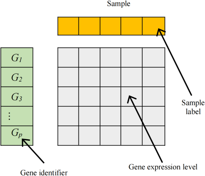 Double weighted k nearest neighbours for binary classification of high ...