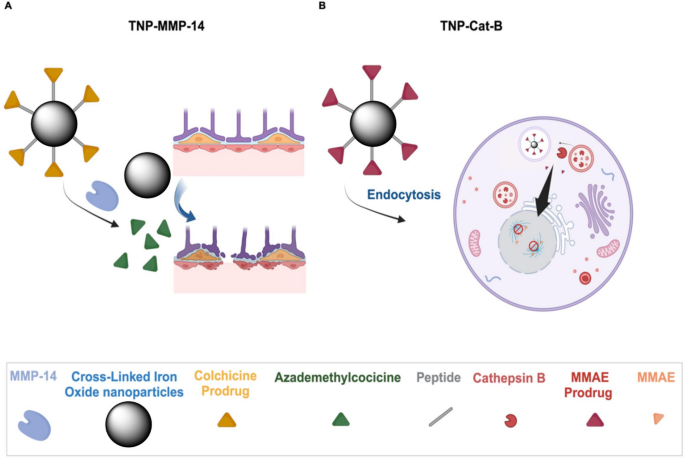Dual-enzyme activated theranostic nanoparticles for image-guided ...